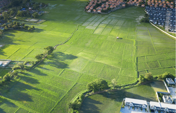 Image of Green Vacant Land